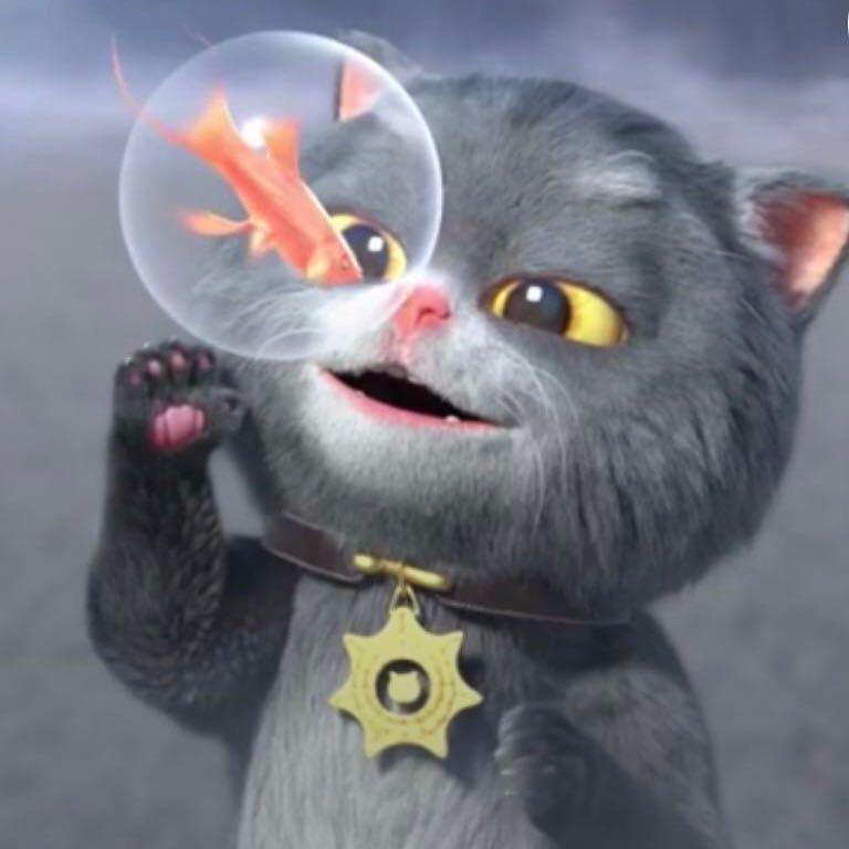 MaoMaoi