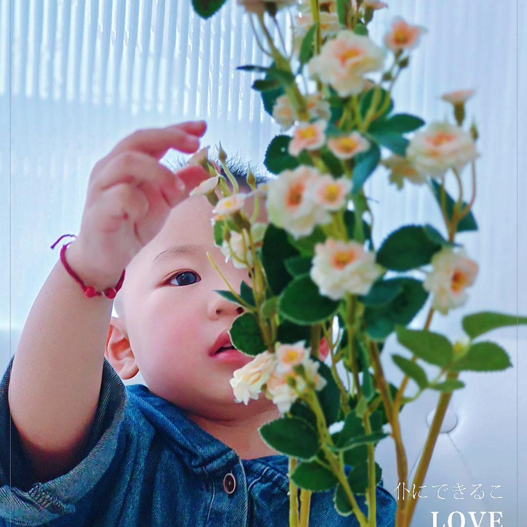 🐵翊宸（π π）