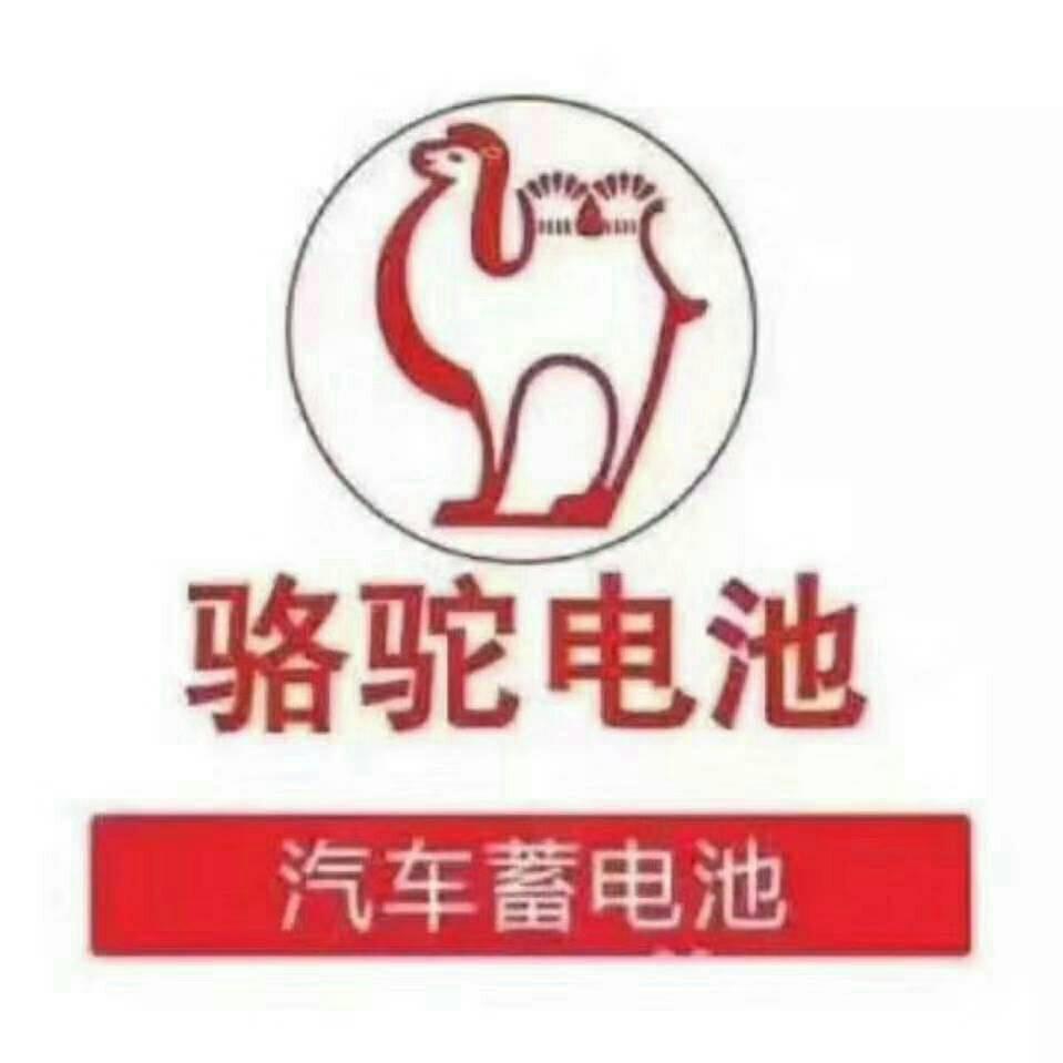 尉氏人民路骆驼蓄电池批发总代理（搭电救援