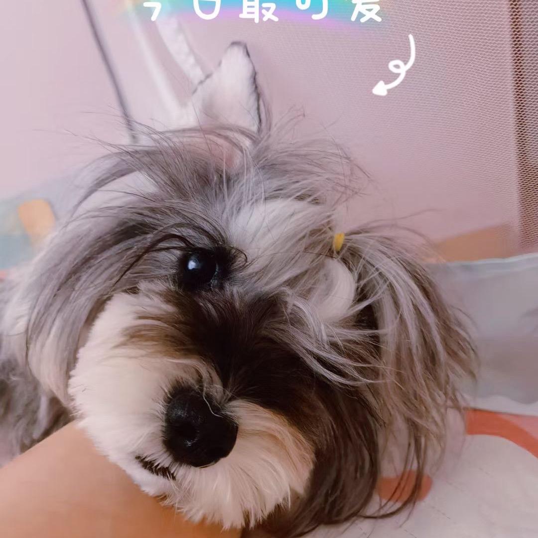 豆丁丁
