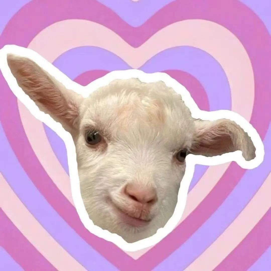 羊羊羊🐑