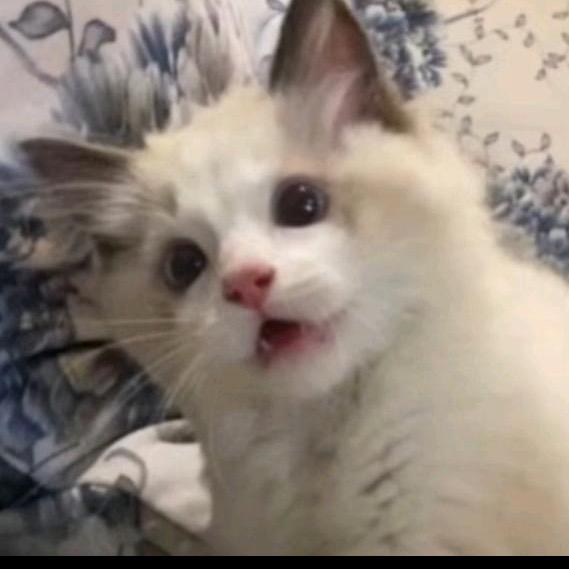 为什么要念出来