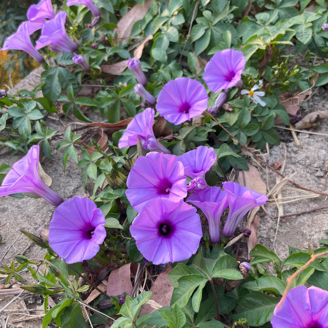 💖回眸🎉威微一笑🍓