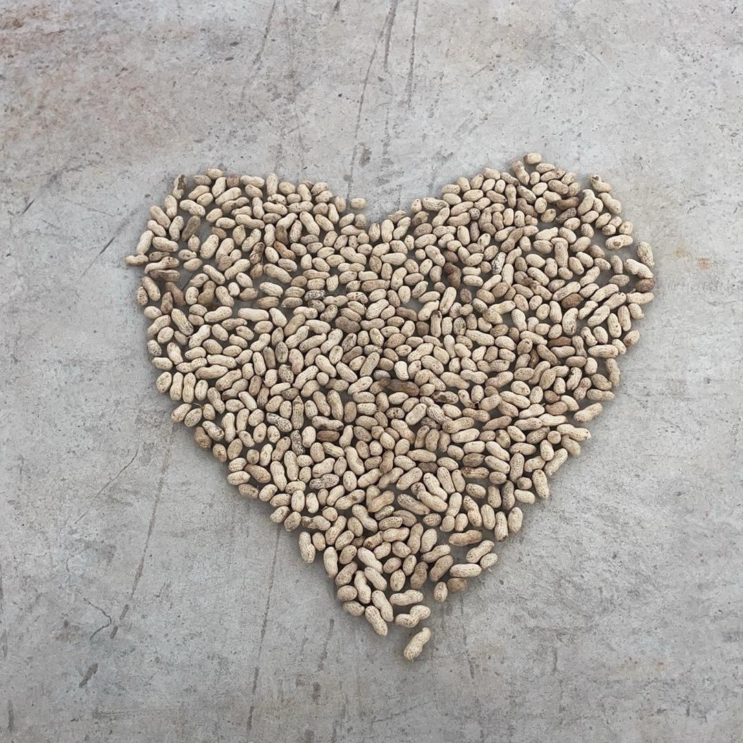 要像风一样自由