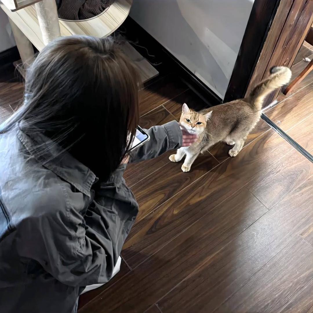 给我快乐