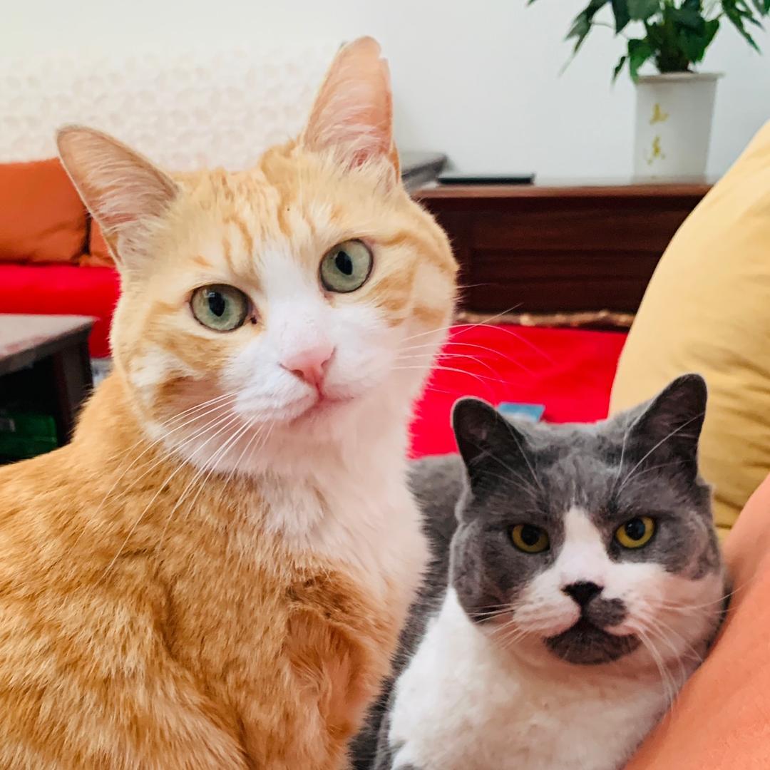 爱🐱猫猫🐱的叶子姐姐