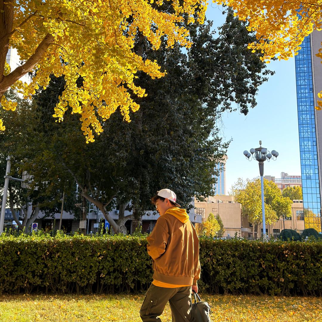 不想问为什么🧐
