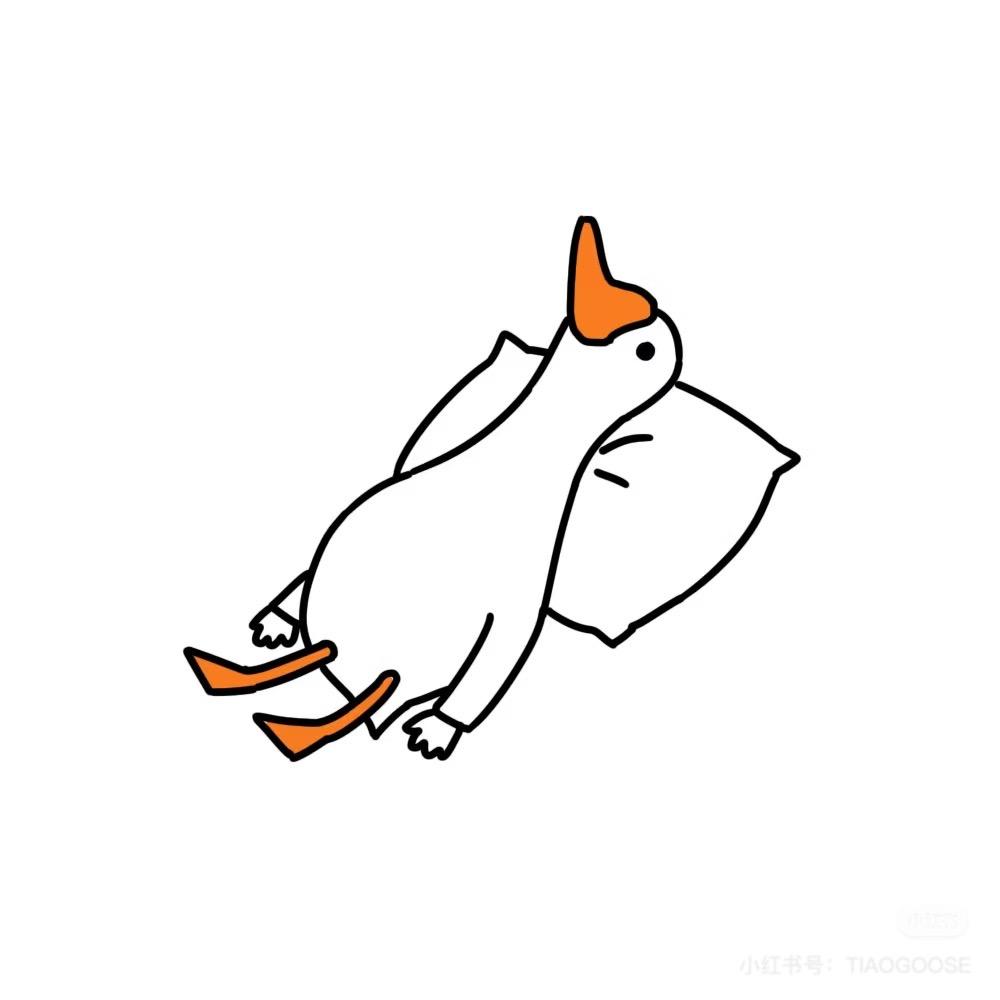 🦢🦢🦢
