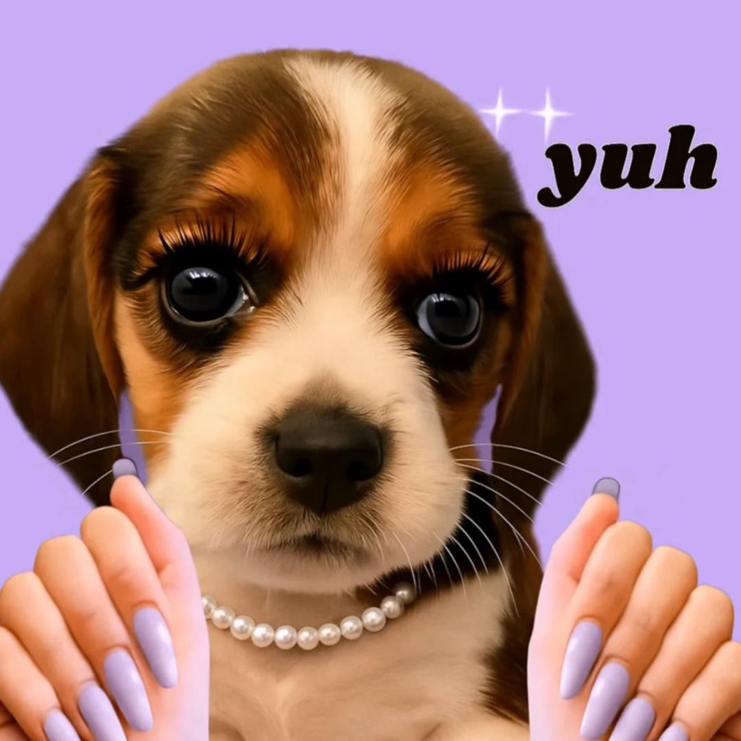 钢镚儿穿戴甲研究所