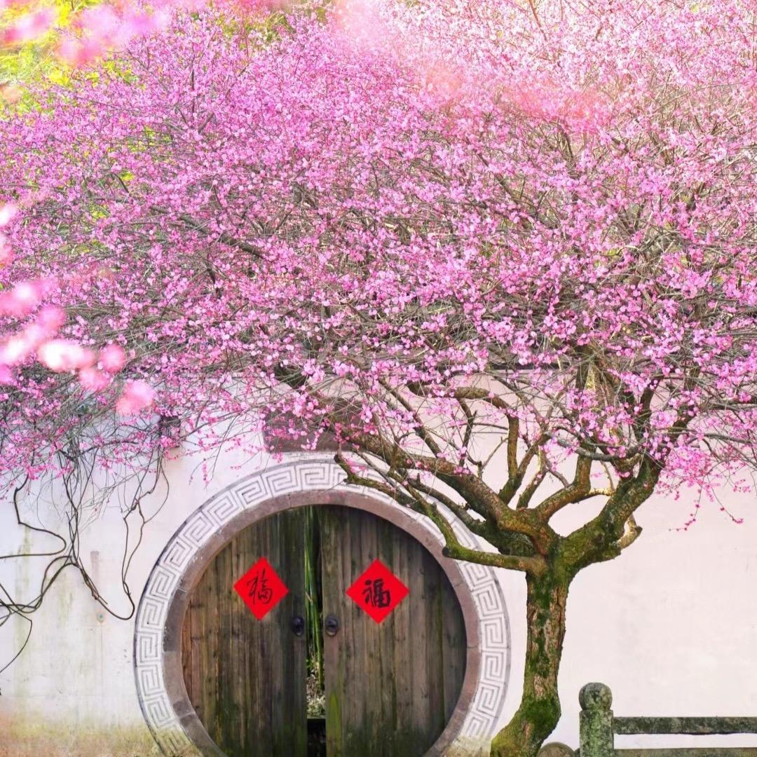 哦哦哦哦哦哦哦哦哦