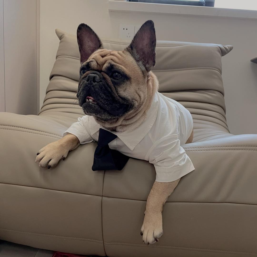 漂漂呀（肉球麻麻）