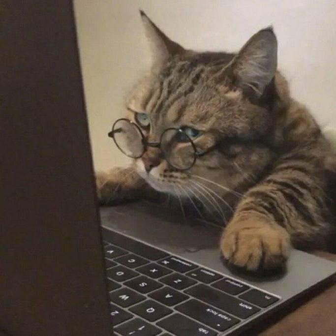 王者荣耀（你休想）