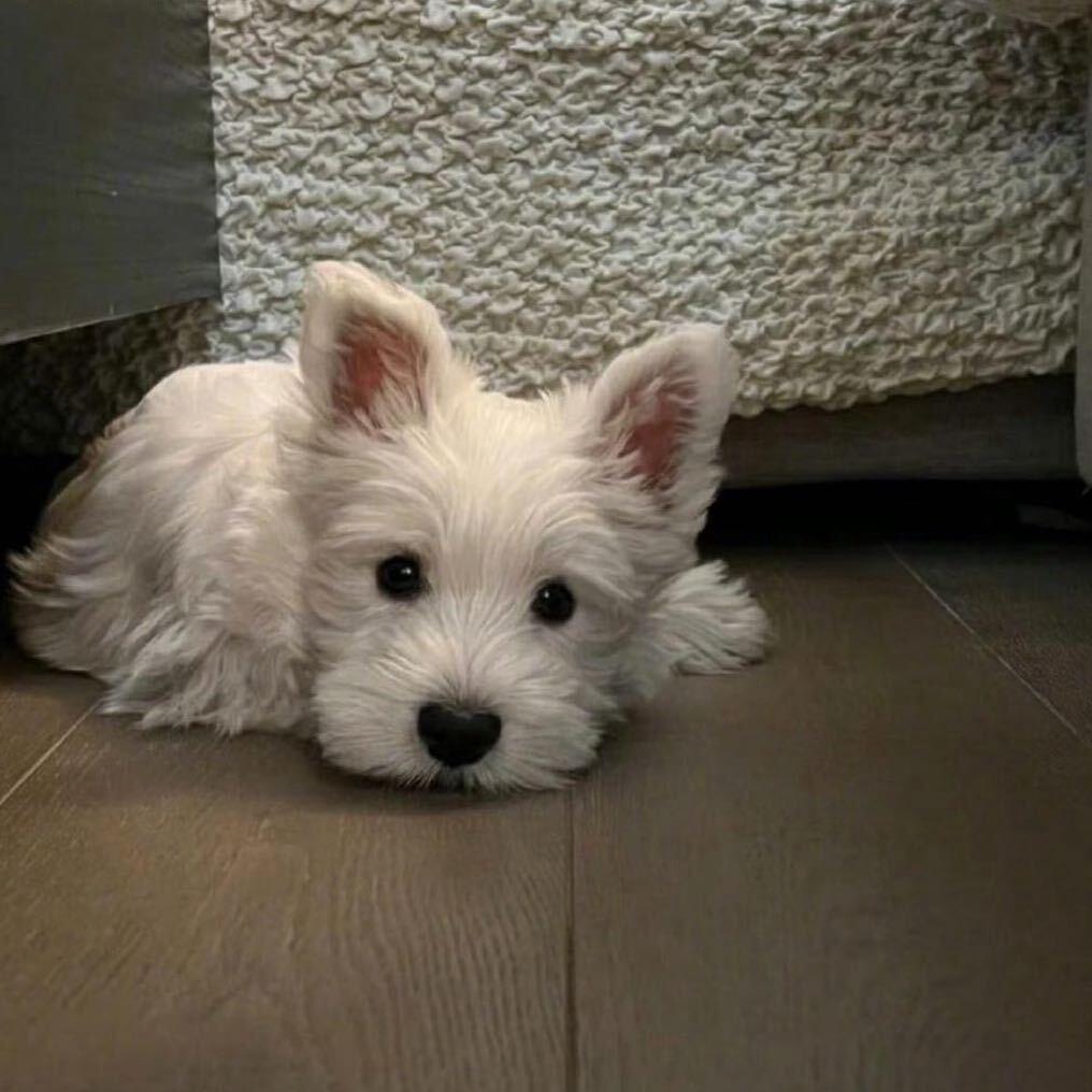 不發脾气只發財