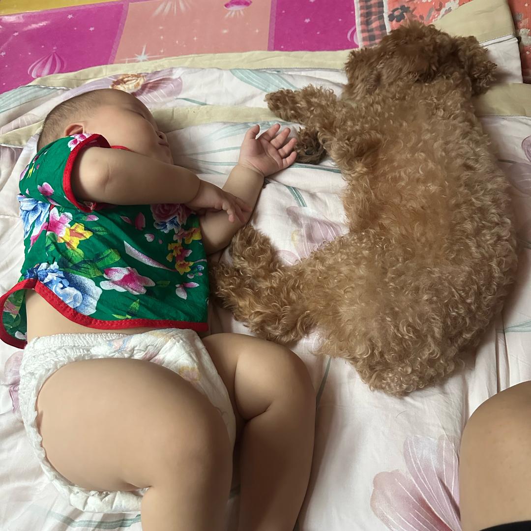 🥰皮皮满