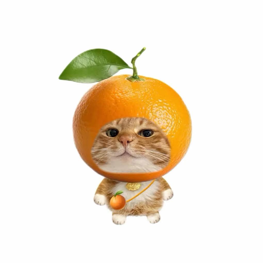 范修修.🍊