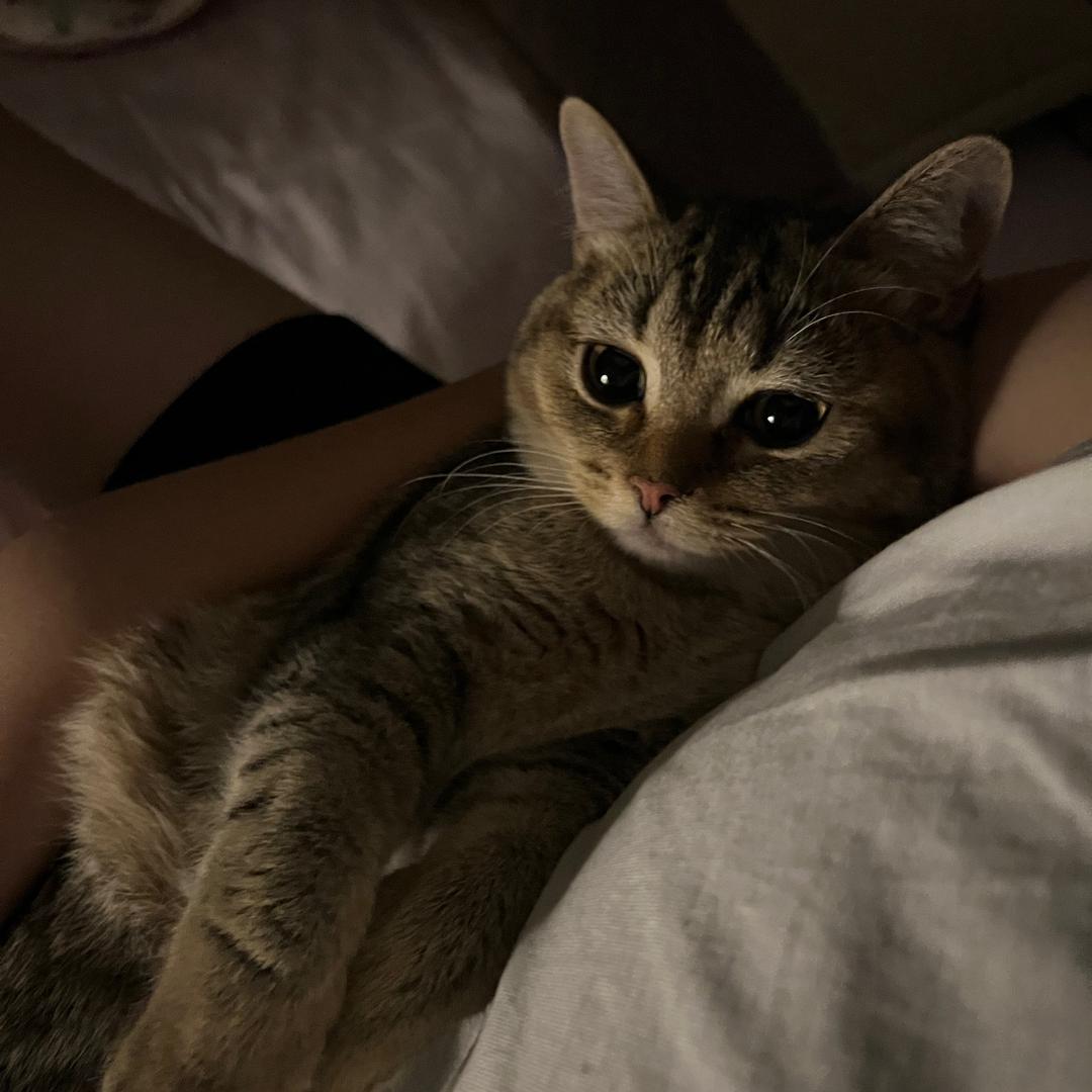 -R-
