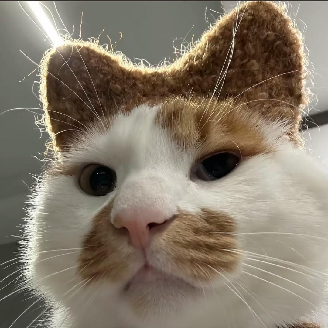 miuuu