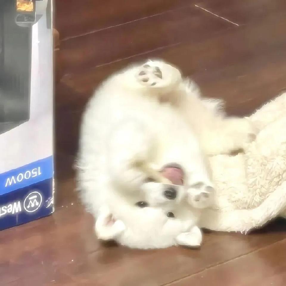 江桥