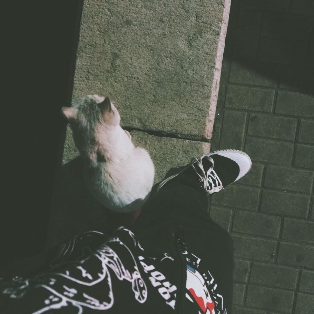 VTE AUKO GADW