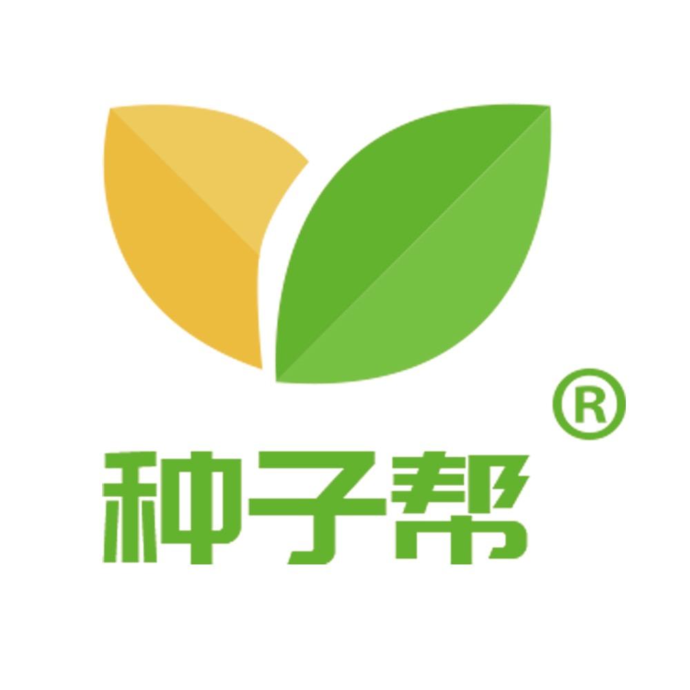 种子帮蔬菜种植