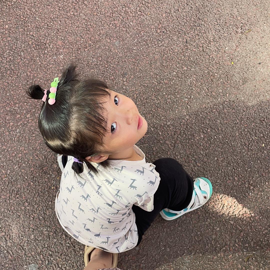 红石榴