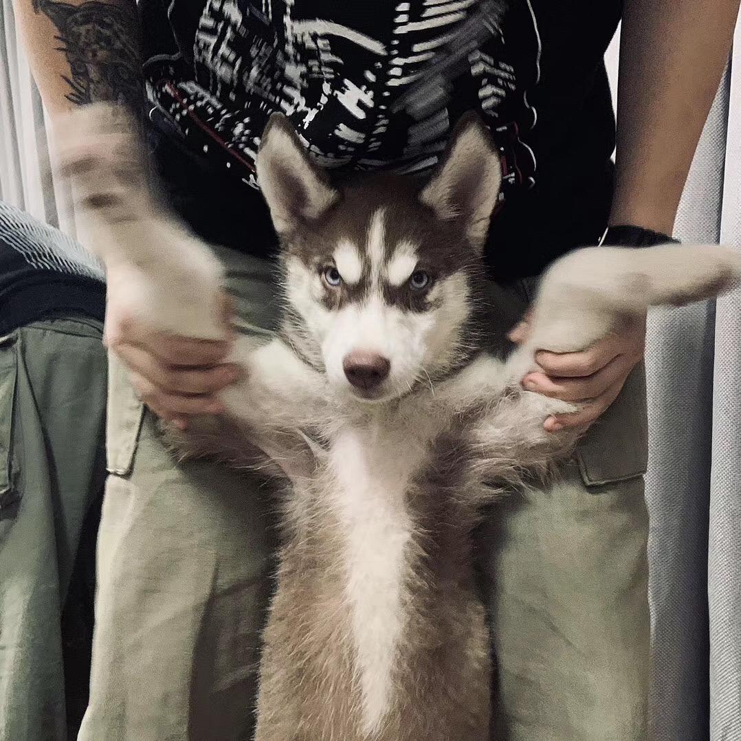 清壕