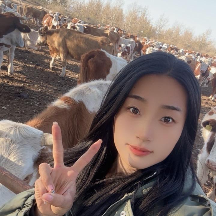 小贝爱养牛🐮