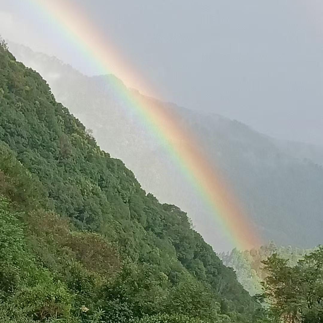 武夷山市千枞岭茶叶店