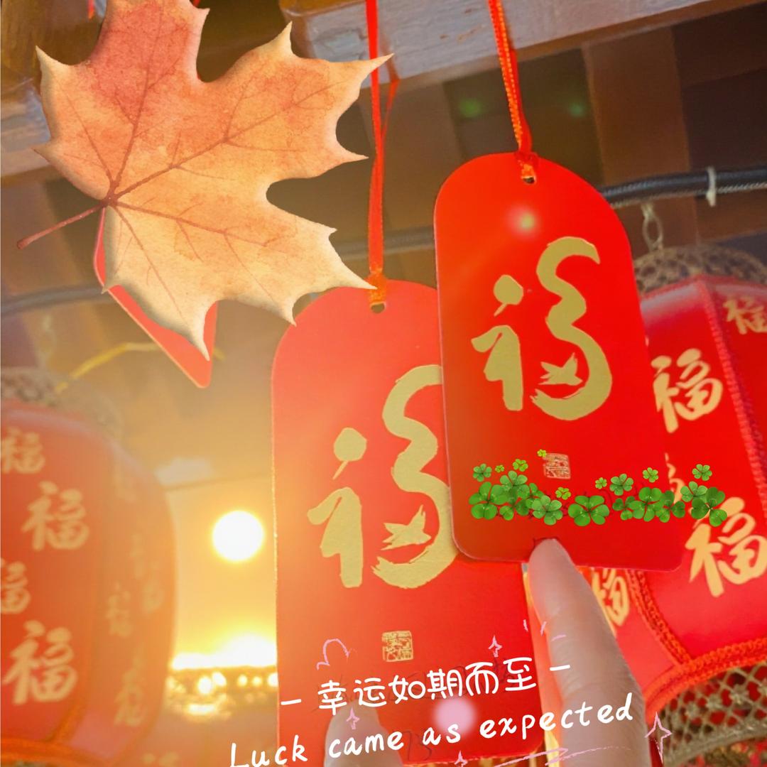 慧