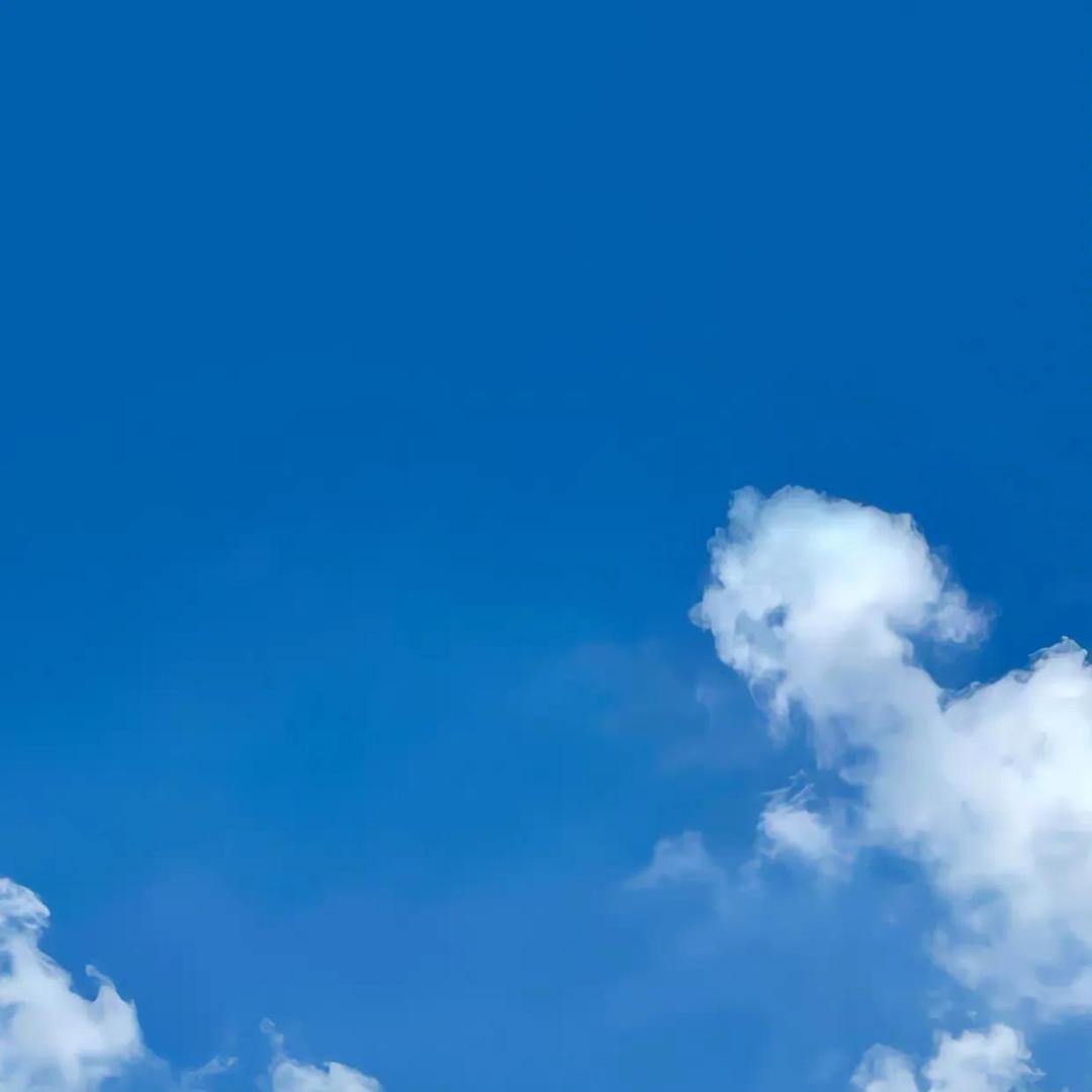 脑子是个摆设
