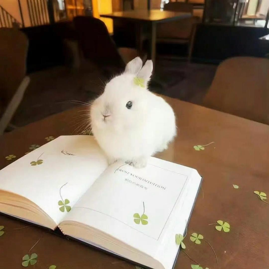 牛奶煮钱