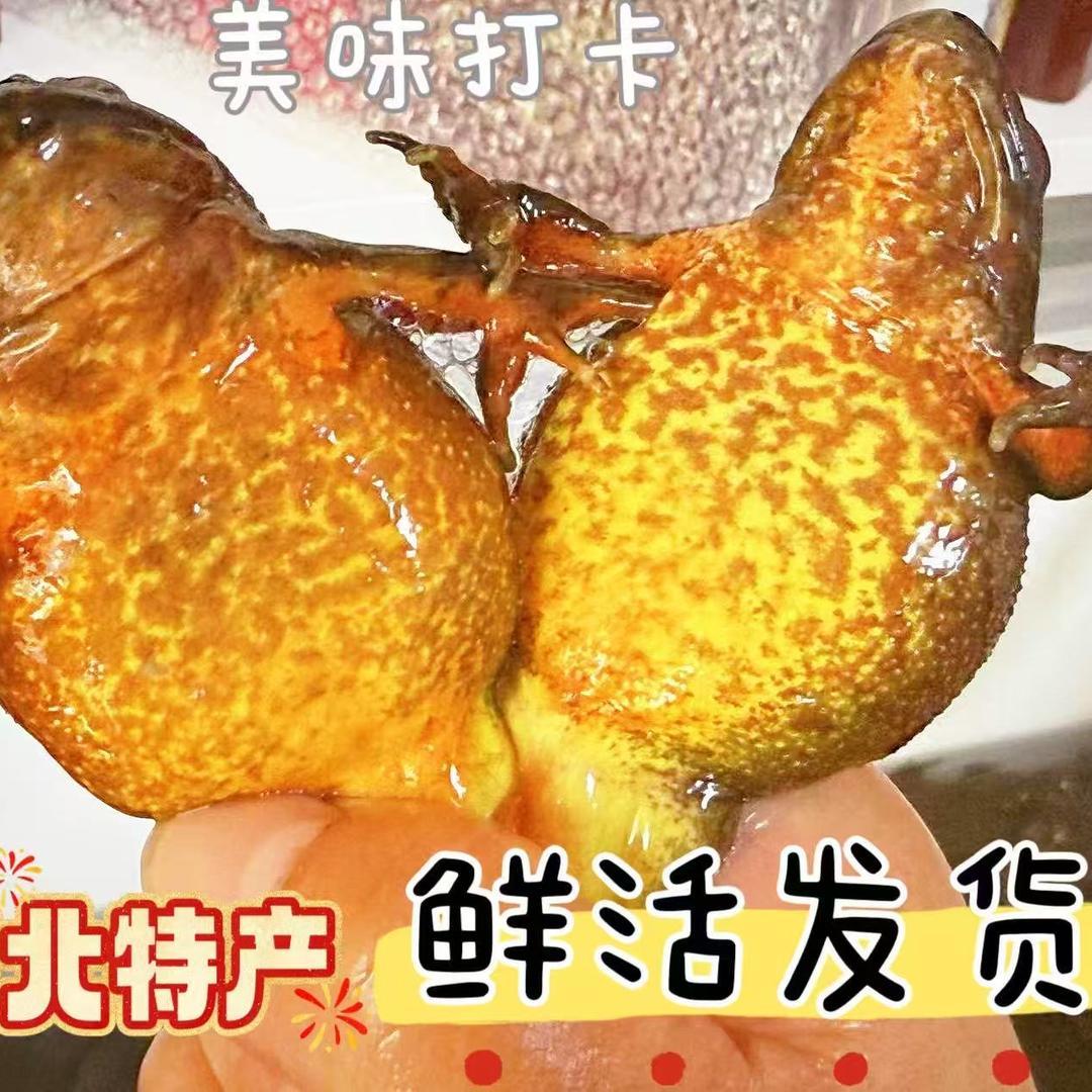 吉林桦甸方伟蛤蟆土特产店