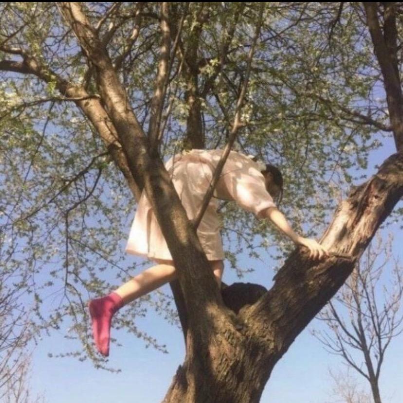 快乐小狗