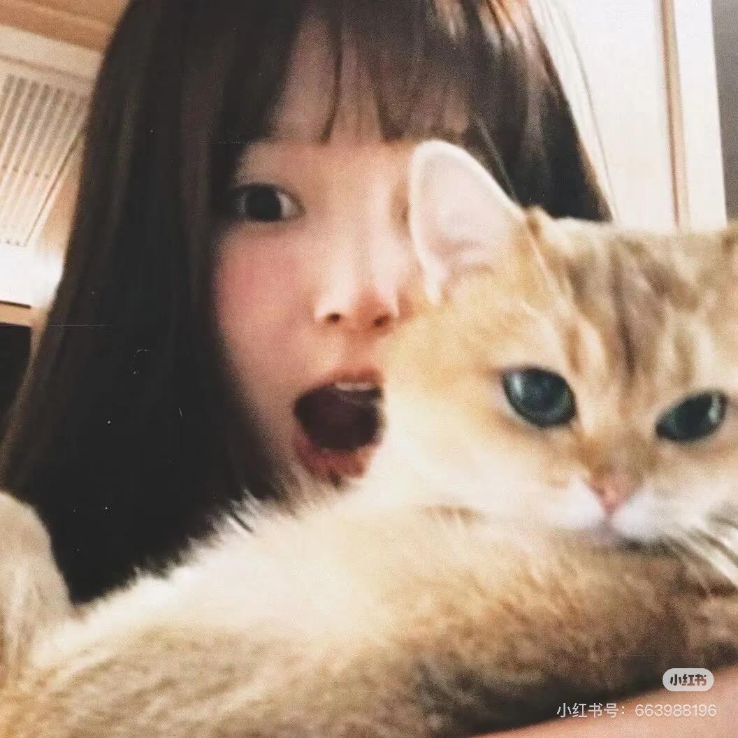 张鱼小丸子