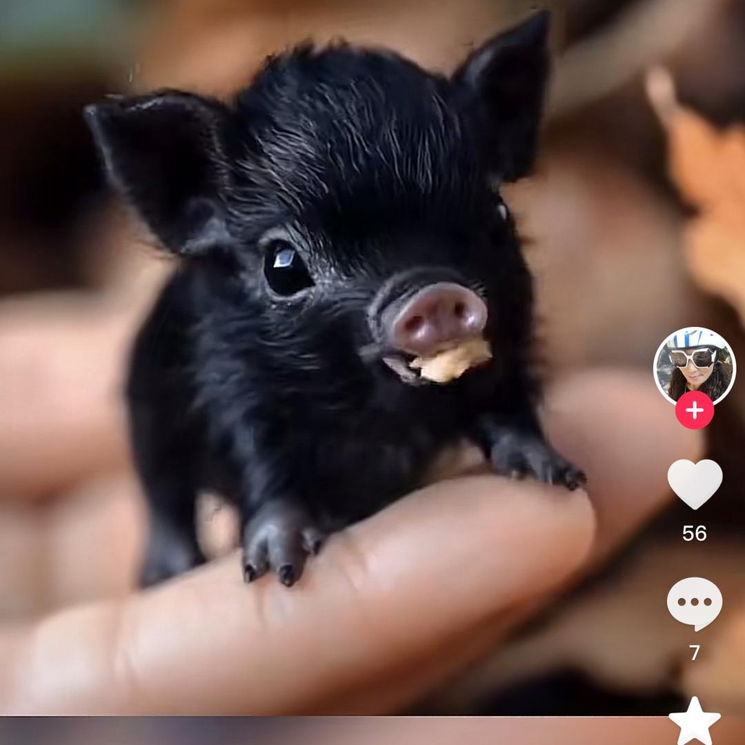 🥀এ᭄别🍃碰🌾我🥀心💔ོ࿐ᩚ