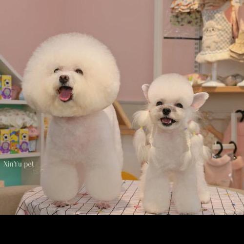 琦思萌宠生活馆