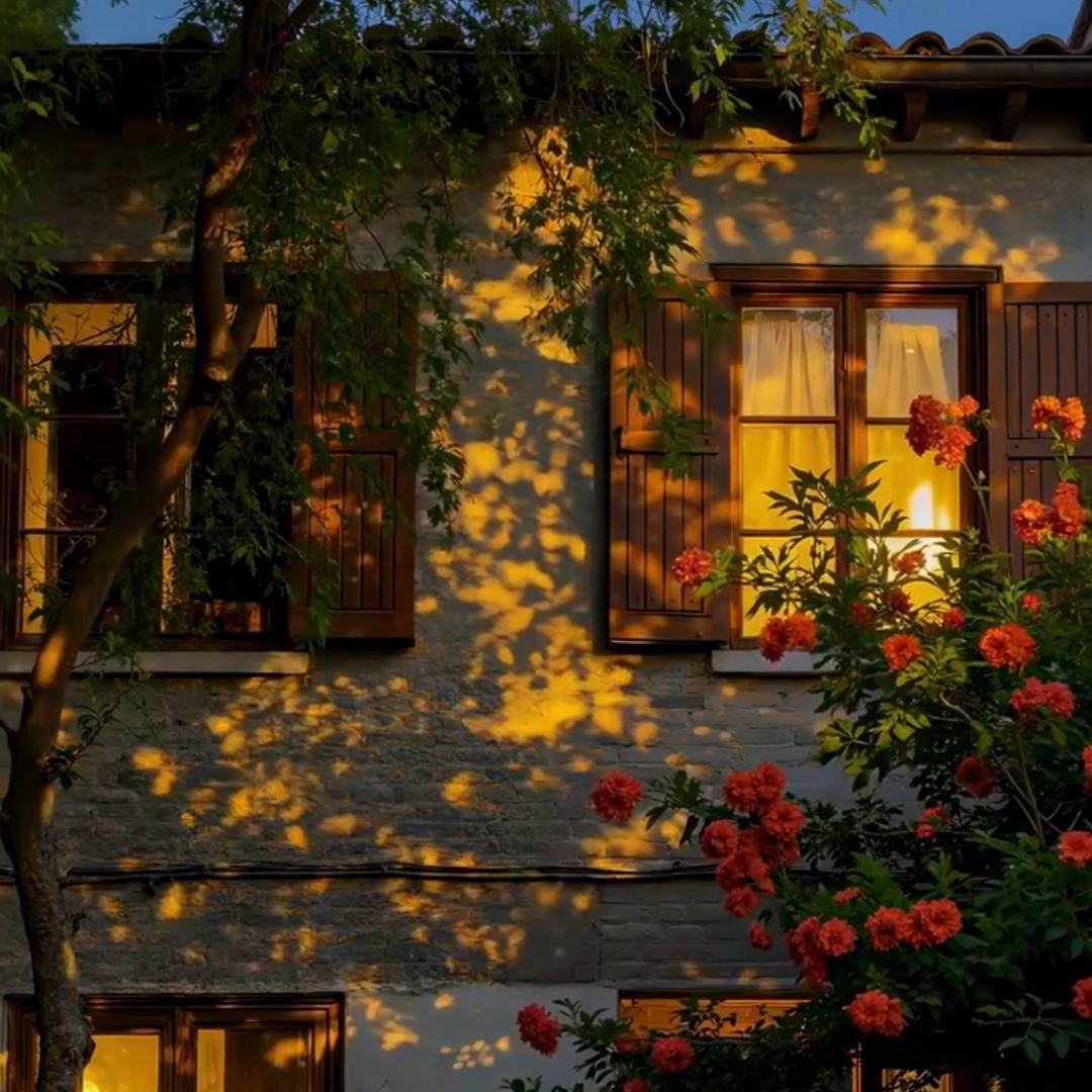 半糖茉莉  ☘︎ ݁˖꙳