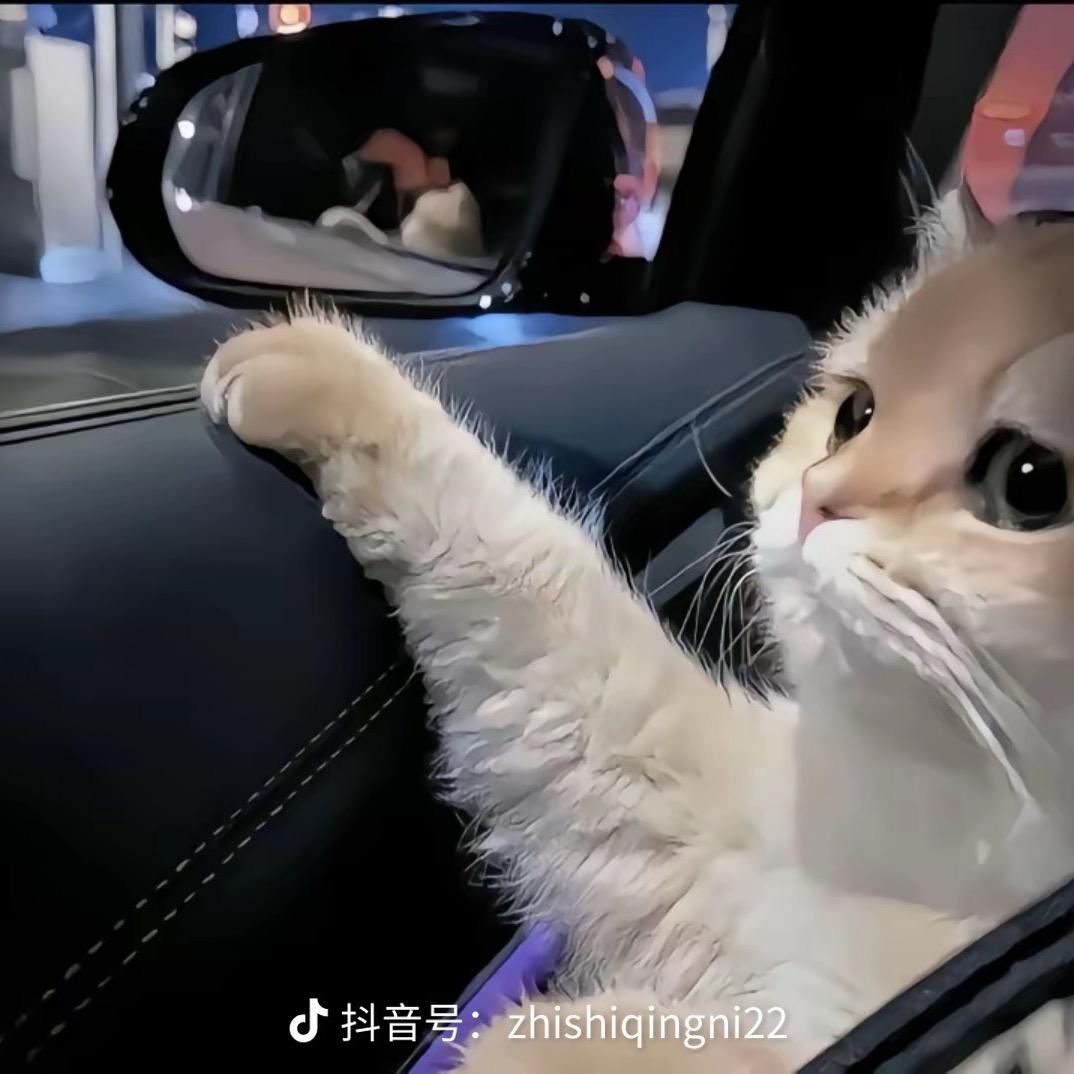 泰坦尼亚超级无敌暴龙战士徒手捏爆大行星