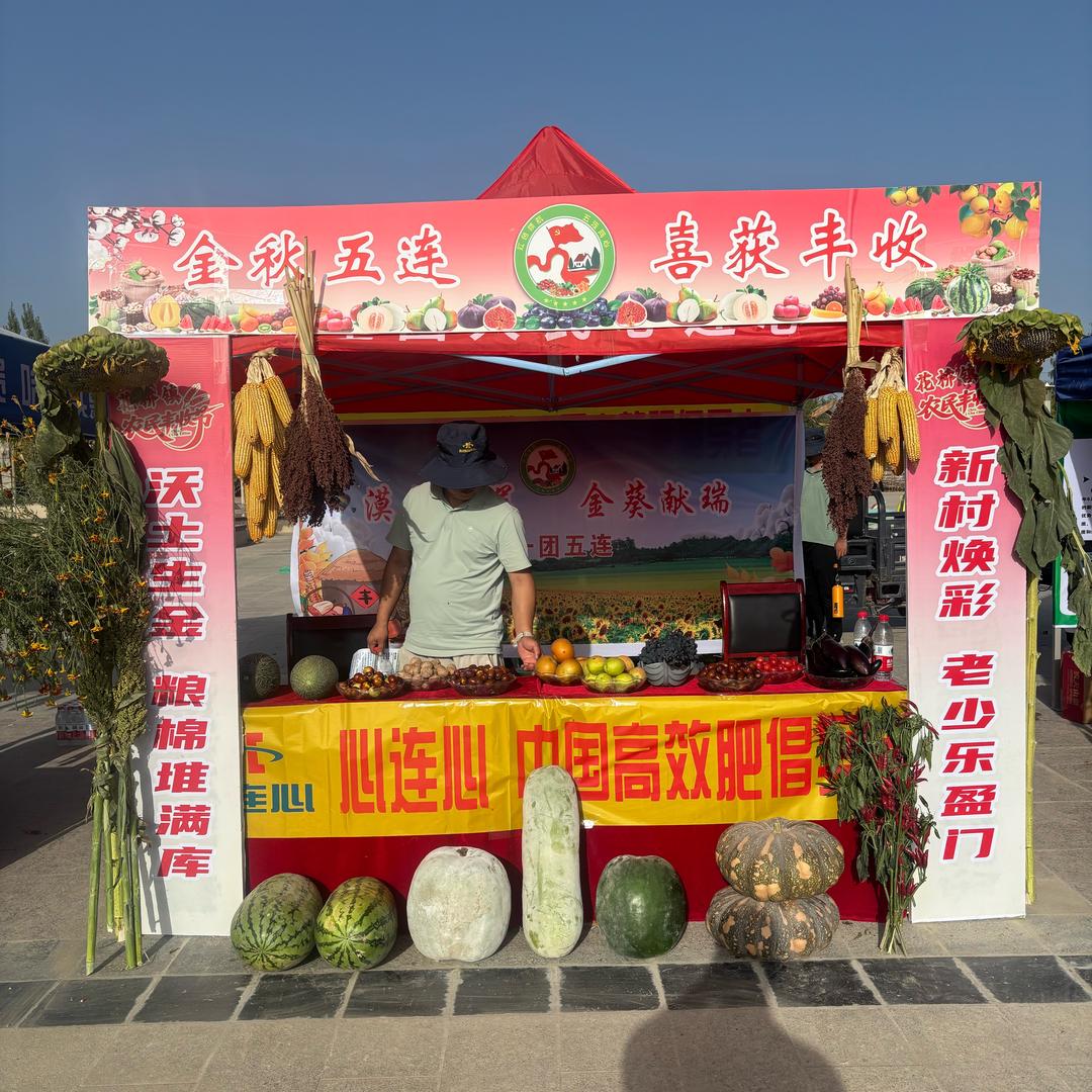 南疆种地(双丰）