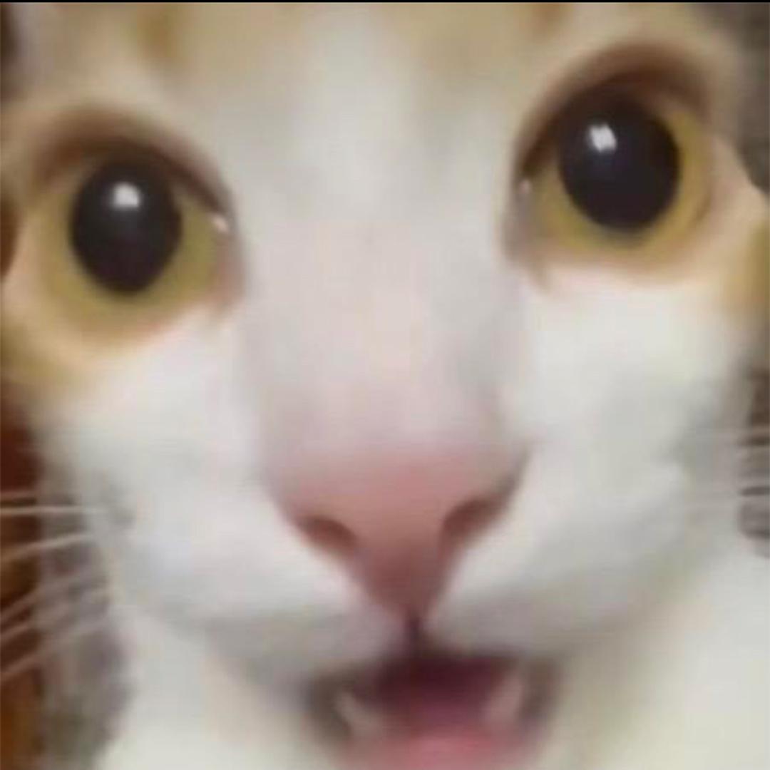 。。。。