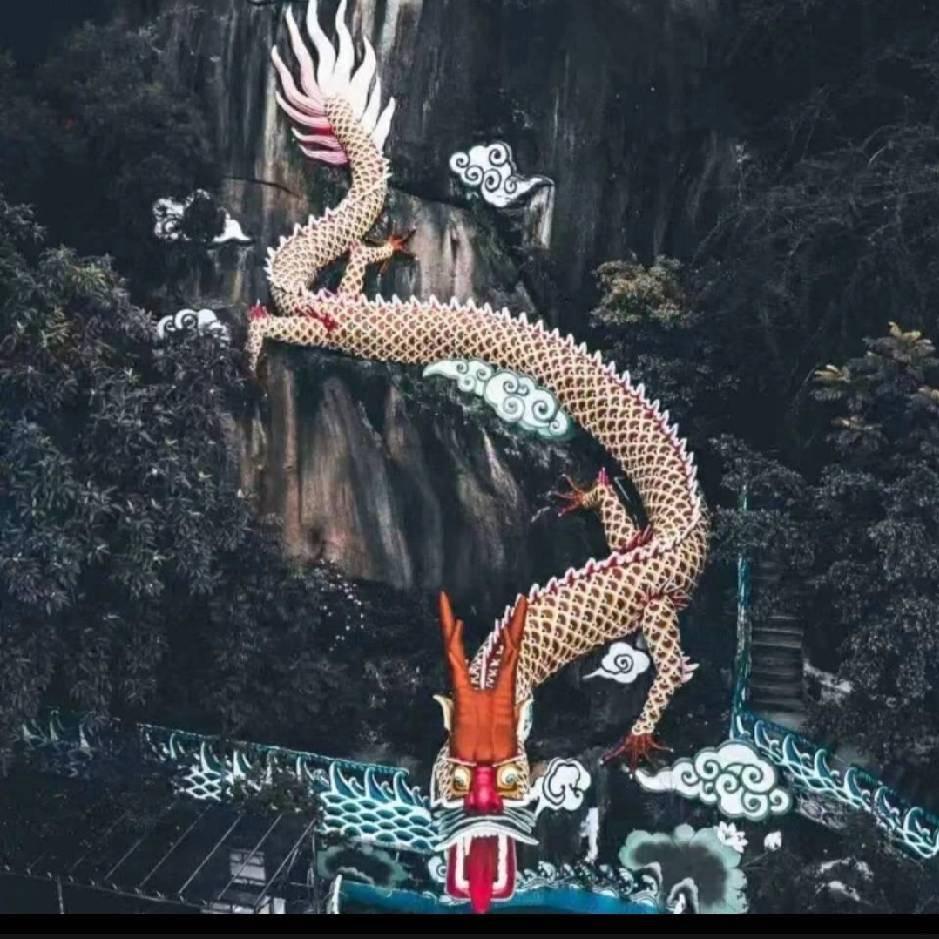 魅影夺情