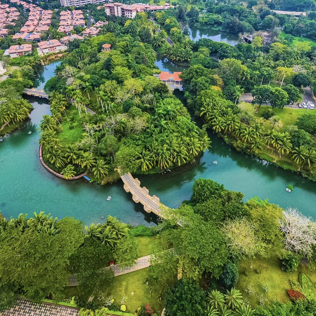 阿正海南果园基地