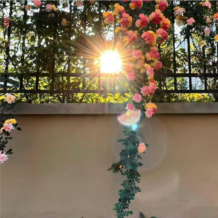 甜曼饮品店专做果茶