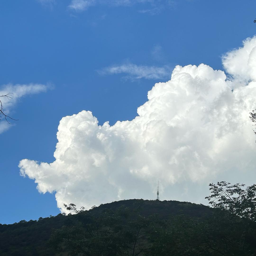 升学规划薛老师