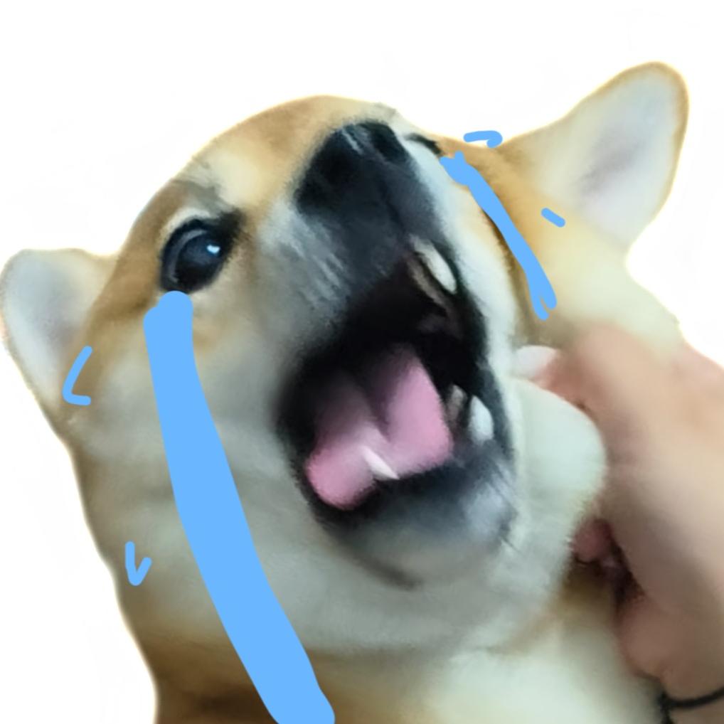 玖柒。
