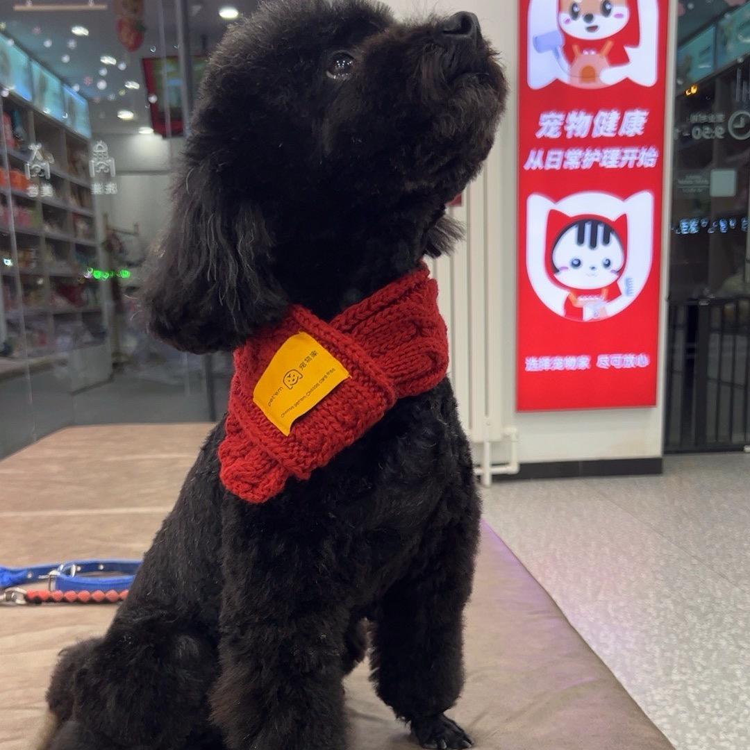 小被窝儿怪