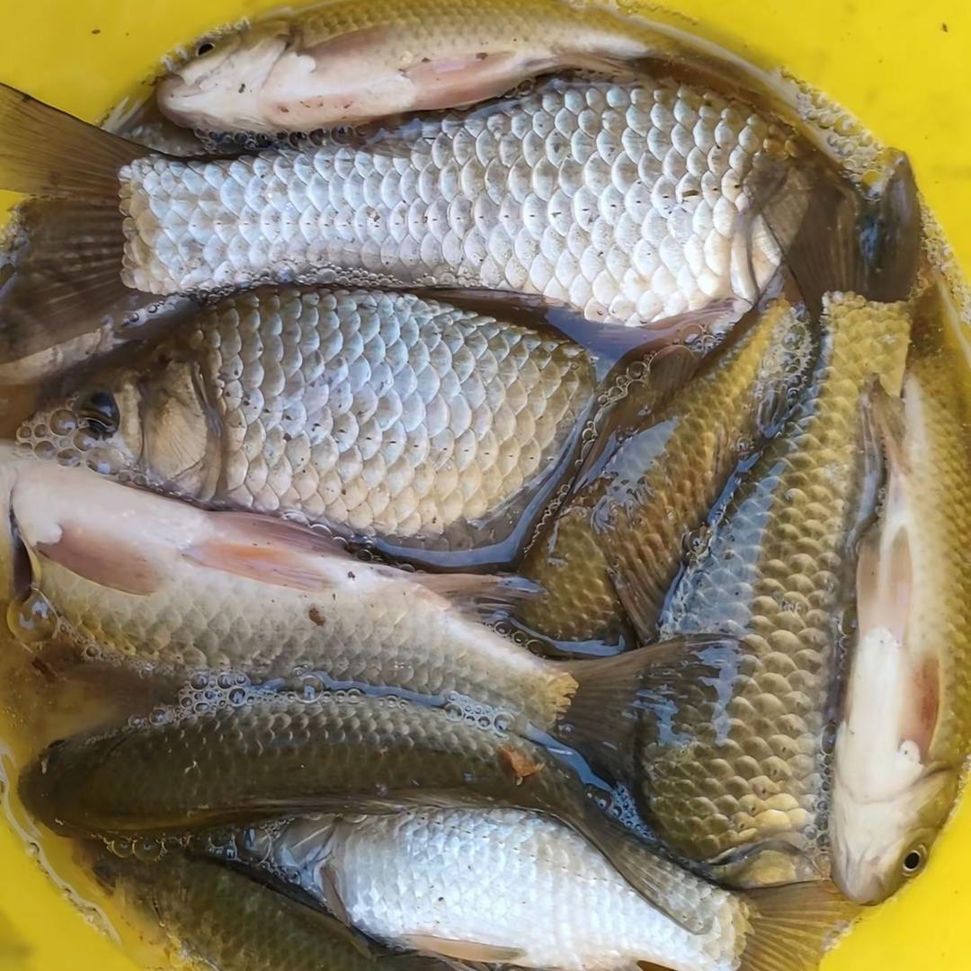 老渔翁渔具个体店