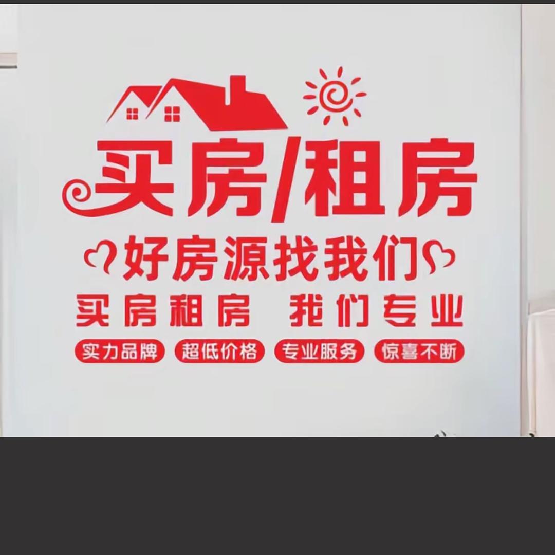 买房卖房选房师
