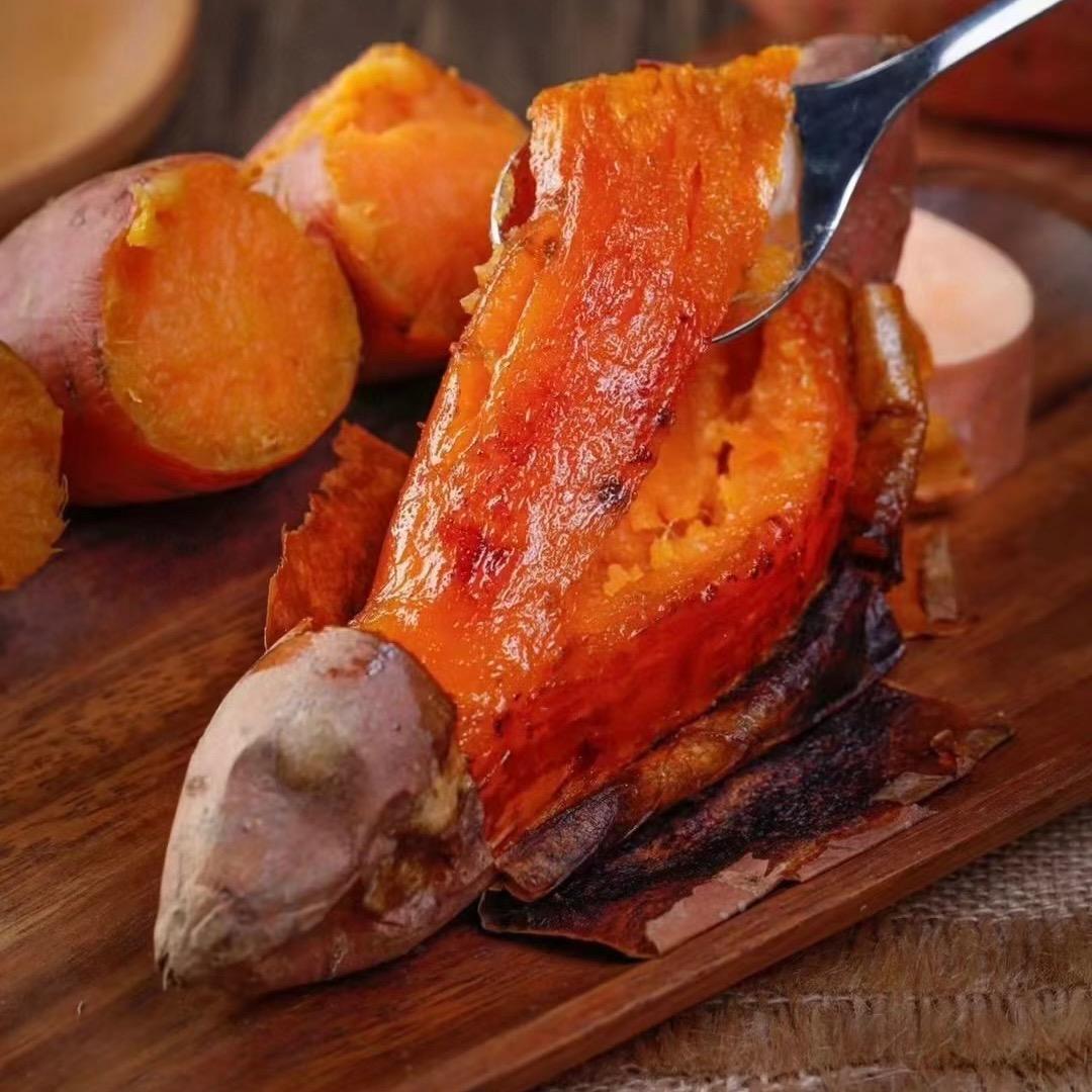 山东烟薯25种植基地