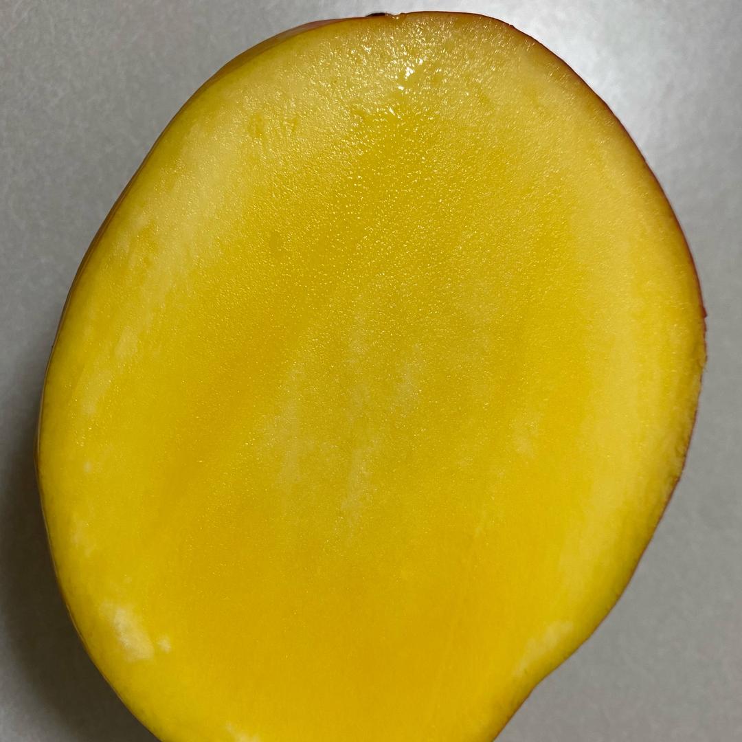 东京的一枚码农